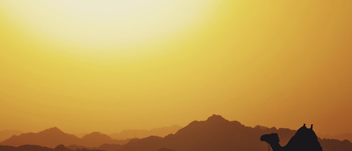 middle east apps
