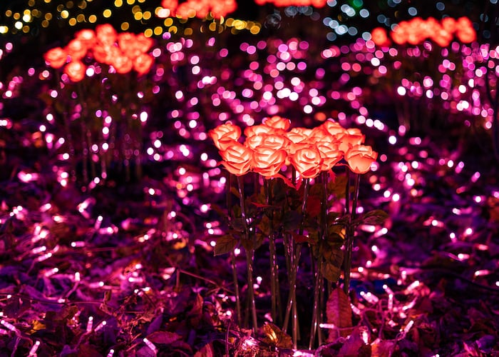 Tested Bright Led Apps