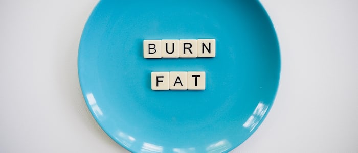 burn fat 