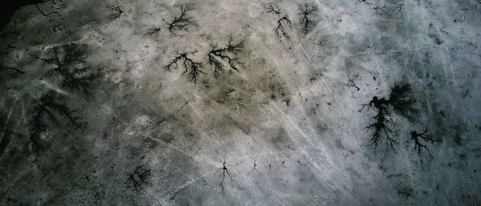 detailed explanations apps