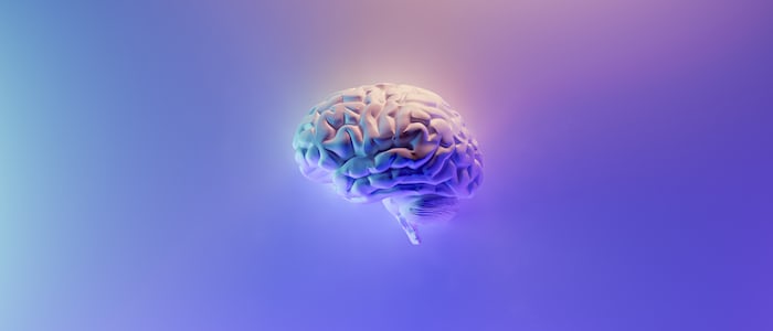 human anatomy apps