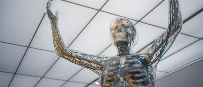 human body apps