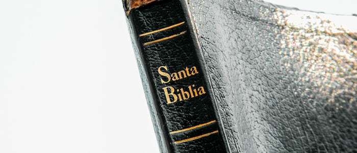 santa biblia apps