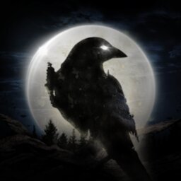 NIGHT CROWS
