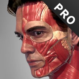 Action Anatomy Pro