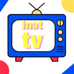 İnat TV Box